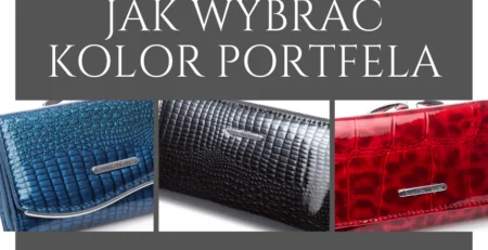 Wpis Jak wybrać kolor portfela