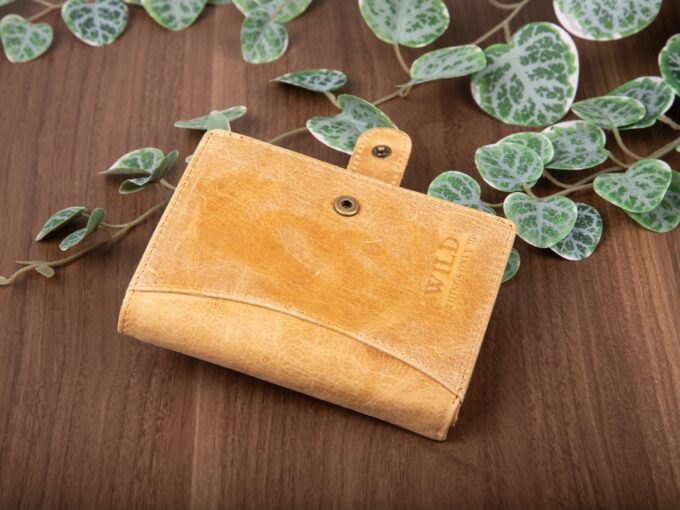 eaf201727442add4cccbff218ba78569