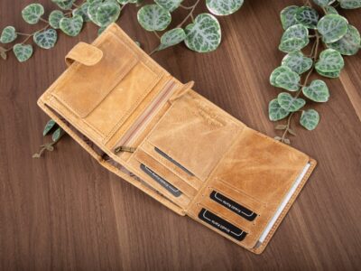 7cdaae0f91d9b842fdbabfc588127206