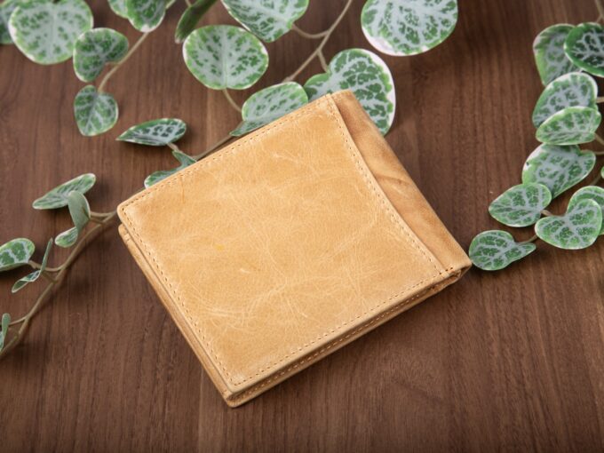 77a7a90ba35446296e5495f5cf4c25b0